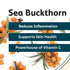 Seabuckthorn Premium Super Fine Powder