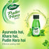 Dabur Pudin Hara Active