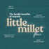 Bharat Vedica Organic Little Millet Flour Organic kutki ka Atta