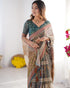 Vasthrlay Handloom Grey Green Traditional Saree