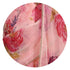 Vasthrlay Fashion Georgette Printed Ethnic Wear
