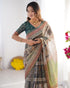 Vasthrlay Handloom Grey Green Traditional Saree