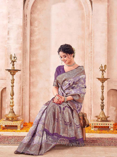 Vasthrlay Chanderi Banarasi Light Saree