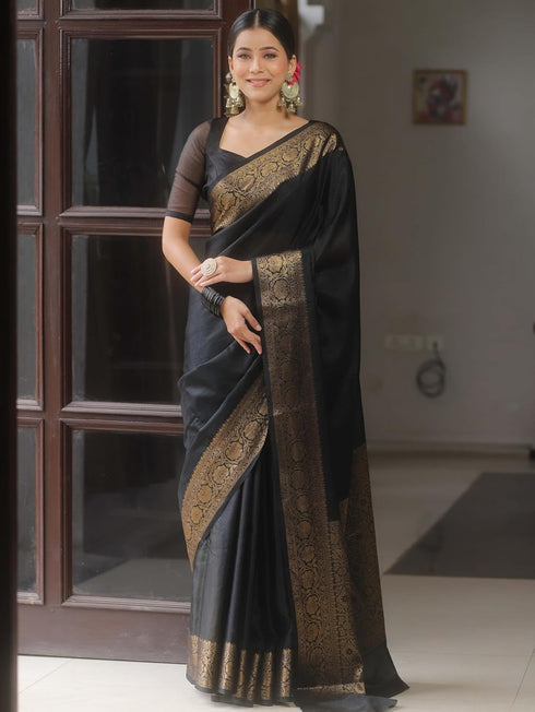 Vasthrlay Saree Kanjivaram Silk Pari Navy