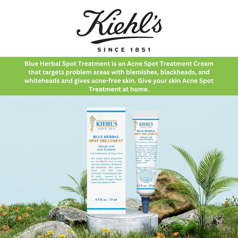 Kiehl's Blue Herbal Spot Treatment 15ml | Acne Treatment Cream