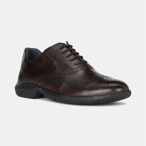 Hush Puppies Brown Oxford Formal Shoes For Men (Style 8344107)