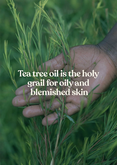 The Body Shop Tea Tree Skin Clearing Hydrator
