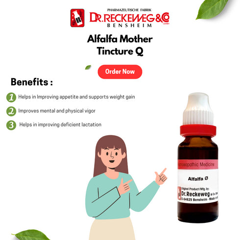 Dr. Reckeweg Alfalfa Mother Tincture Q