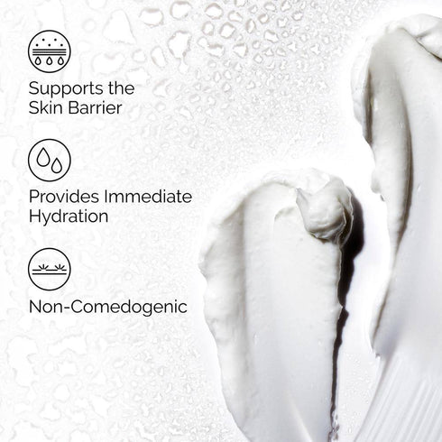 The Ordinary Natural Moisturizing Factors + HA
