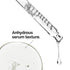 The Ordinary Salicylic Acid 2% Anhydrous Solution