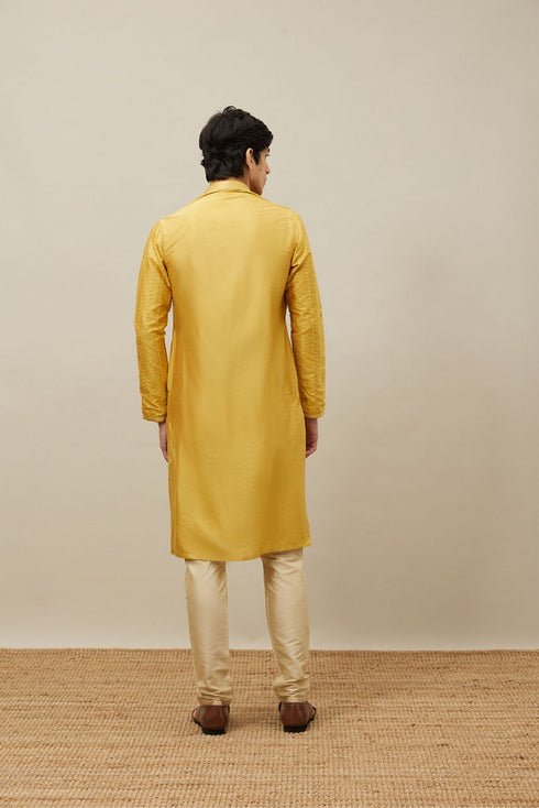 Manyavar Aurora Gold Vertical Patterned Kurta Set