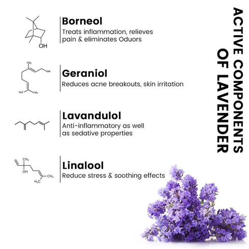 Keya Seth Aromatherapy Skin Hydrating Lavender Toner