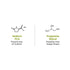 Keya Seth Aromatherapy Skin Hydrating Green Coconut Toner