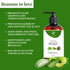 Natuur Aloe Vera Amla Shikakai Shampoo Smoothening