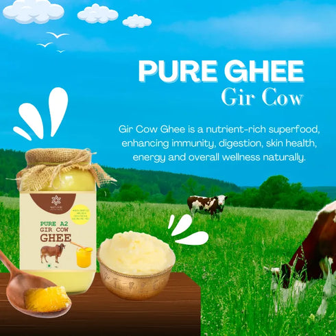 Natuur Desi Gir Cow Ghee