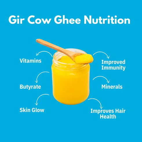 Natuur Desi Gir Cow Ghee
