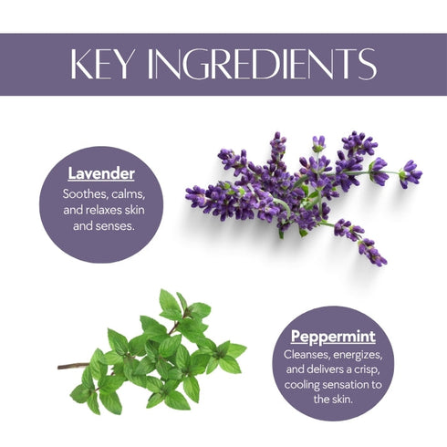 Natuur Hand Wash Anti Bacterial Lavender & Peppermint