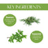 Natuur Beard & Hair Growth Oil Rosemary& Peppermint 50ml