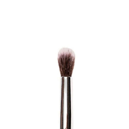 Praush P24 - Medium Tapered Eyeshadow Blending Brush