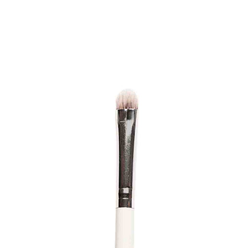 Praush P17 - Dense Dome Eyeshadow Application Brush