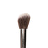 Praush P02 - Professional Angled Blush Brush