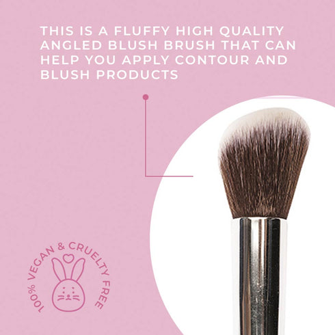 Praush P02 - Professional Angled Blush Brush