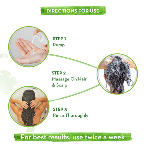 Mamaearth Tea Tree Shampoo for Dandruff Free Hair 250ml