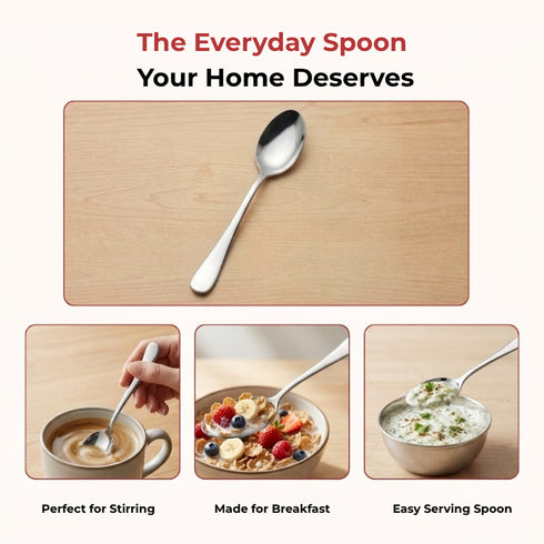 Vinod Decora Stainless Steel Dessert Spoon Set of 12 Piece Heavy Gauge Steel Mirror Finish Rust Free Tough Strong and Durable
