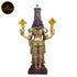 Tamas Brass Tirupati Bala Ji Statue