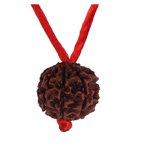 Natural Certified Nepali Rudraksha (Pack of 1)