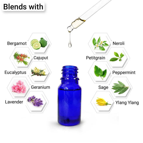 Keya Seth Aromatherapy Citronella Essential Oil