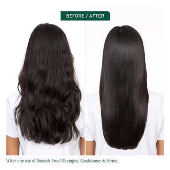 Biolage Smoothproof Anti Frizz Conditioner with Camellia