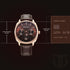 Titan Classique Suave Quartz Brown Dial Brown Leather Strap Watch for Men