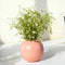 Behoma Vase – Pink