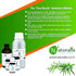 Naturalis Essence of Nature Rosemary Essential Oil 10ml