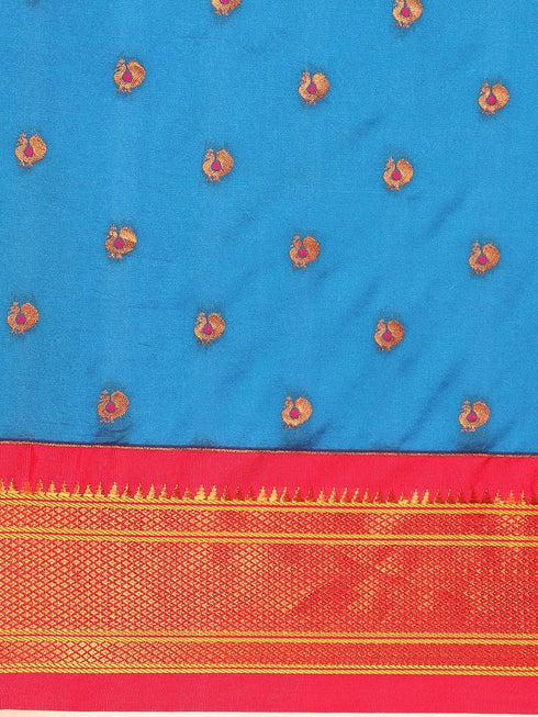 Vasthrlay Maharani Bottle Saree
