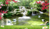 Backdropon Beautiful Waterfall Photography Backdrops