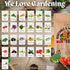 Navika Seeds Organic & Hybrid Vegetable Seeds