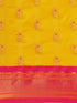 Vasthrlay Pheshwai Bottle Saree