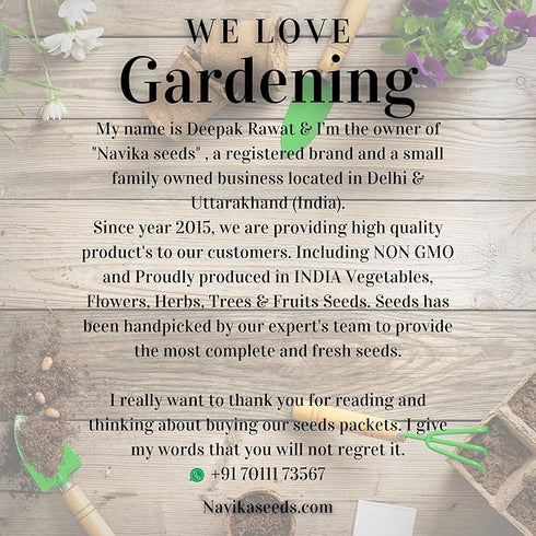 Navika Sunflower Russian Giant Flower Seeds