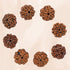 Crystal Heaven 5 Mukhi Rudraksha