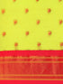 Vasthrlay Maharani Bottle Saree