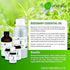 Naturalis Essence of Nature Rosemary Essential Oil 10ml