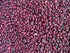 Munsiyari Lal Rajma, Premium Unpolished and Natural, Red Rajma Pahadi or Kidney Beans 1Kg