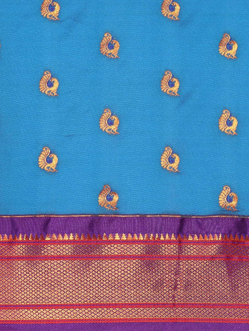 Vasthrlay Maharani Bottle Saree