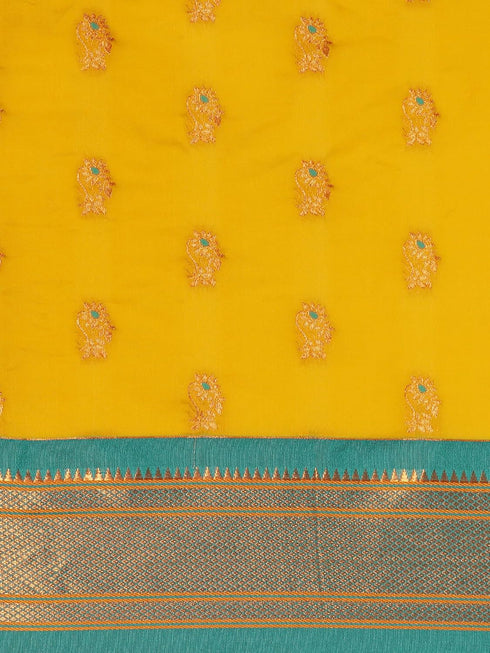 Vasthrlay Pheshwai Bottle Saree