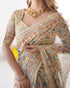 Vasthrlay Traditional Multicolour Multicolor Saree