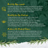 GreenFinity Sun Dried Rosemary Leaves