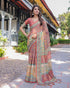 Vasthrlay Handloom Cotton Multicolour Saree