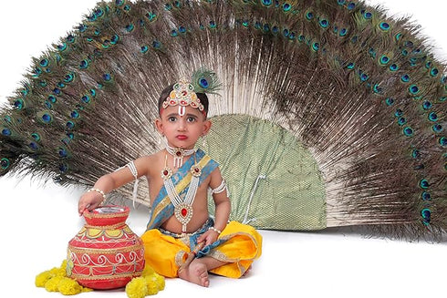 Raj Fancy Dresses Krishna Dress for Kids, Baby Krishna Dress for Janmashtami with Krishna Mukut